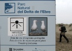 Parc Natural del Delta de l'Ebre   A.Joustra